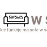 Trendy w salonie czyli jak wygląda i jakie ma funkcje sofa w salonie Polaka