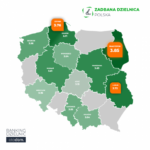 Ranking Dzielnic Otodom 2020 – ZADBANA OKOLICA