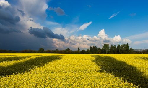 Bezpłatna pomoc medyczna dla osób z Ukrainy w ramach Grupy ENEL-MED, Медична допомога біженцям з України